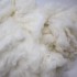 High Quality Organic Bulk Raw Cotton Fabric Factory Supplied